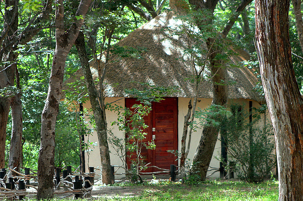 Gwango Heritage Resort Dete 외부 사진