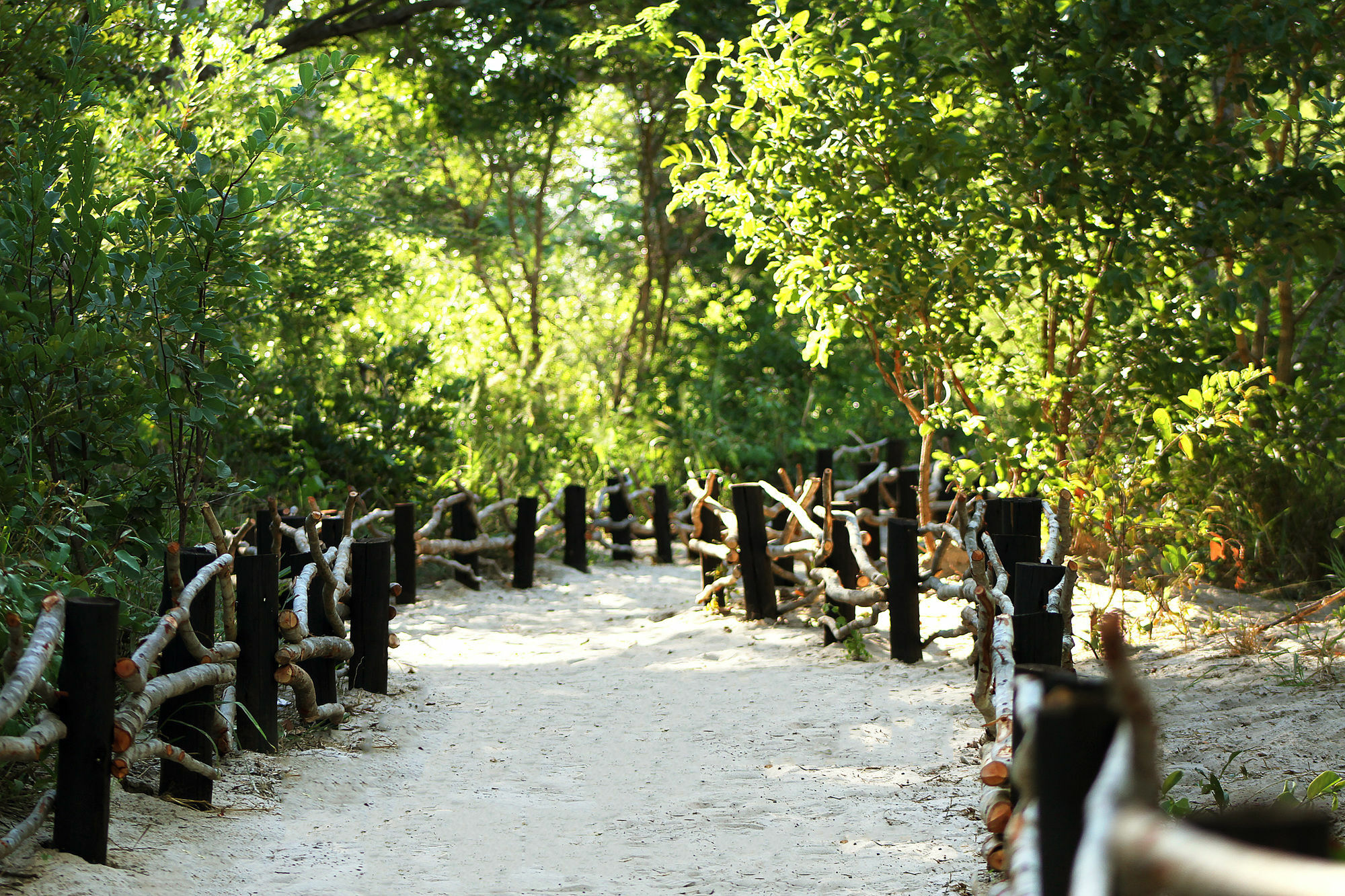 Gwango Heritage Resort Dete 외부 사진